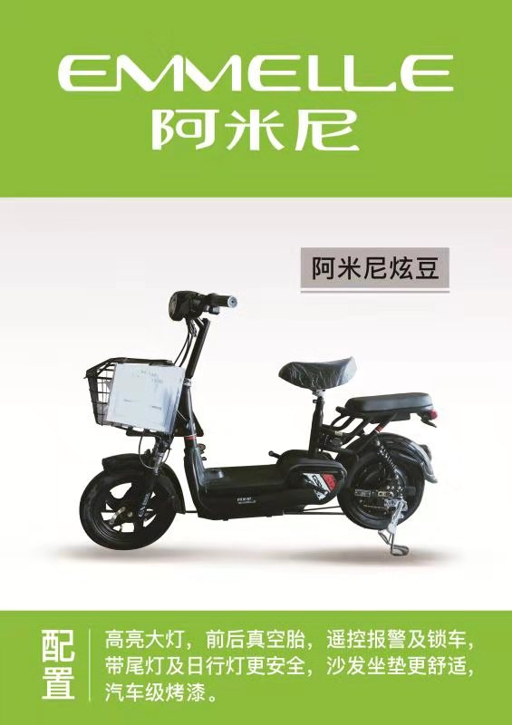 阿米尼电动车tdt8201z