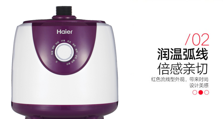 海尔（Haier)挂烫机HY-GD2006Z 导热快 10档设计 手持蒸汽熨斗 2升大容量 挂烫机