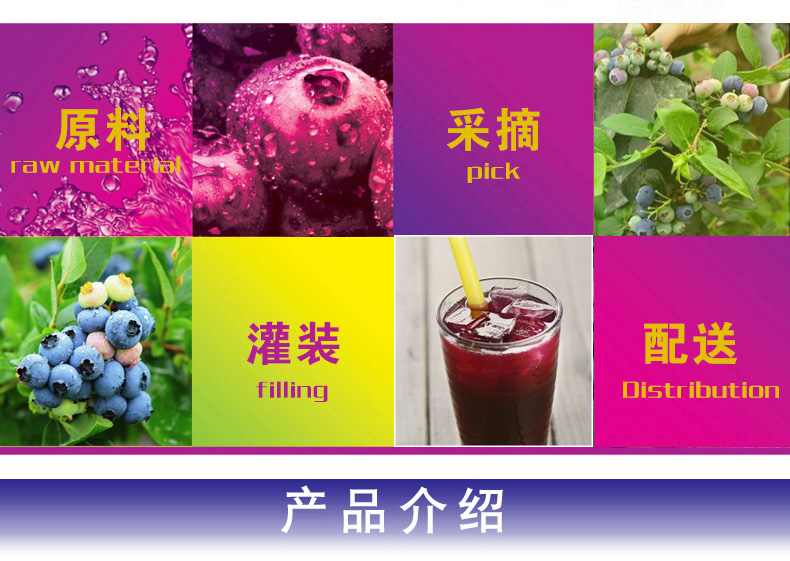 【长乐山】蓝莓果汁饮品果肉饮料300ml*8瓶 长