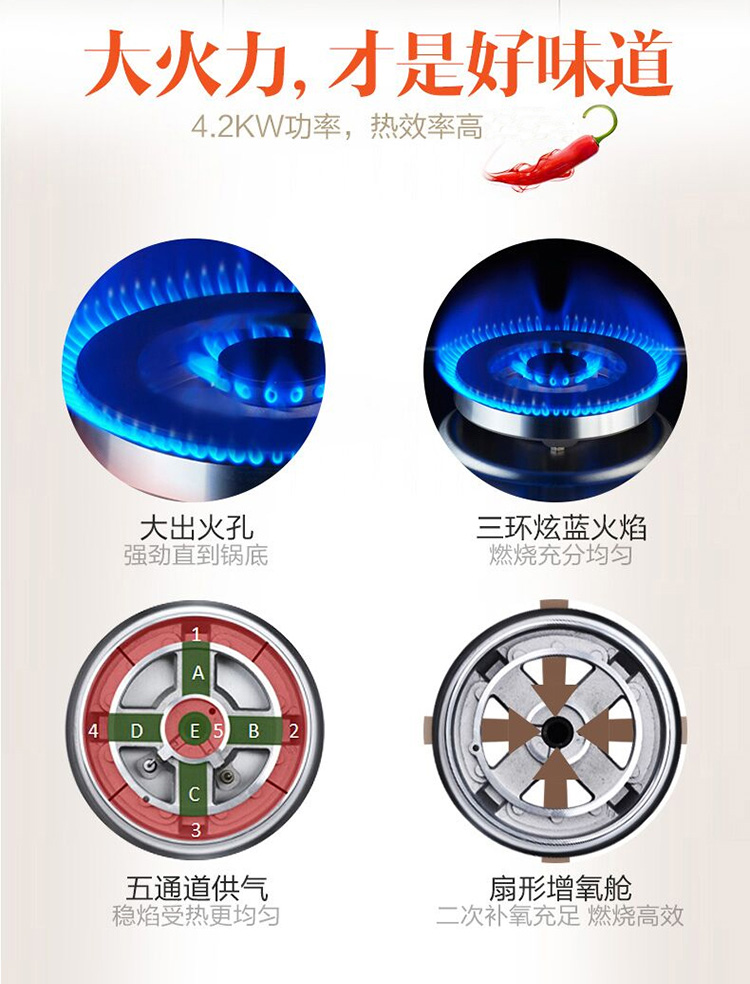 帅康(sacon)触控式厨电套装TE6961S+35G 20立方（液化气）
