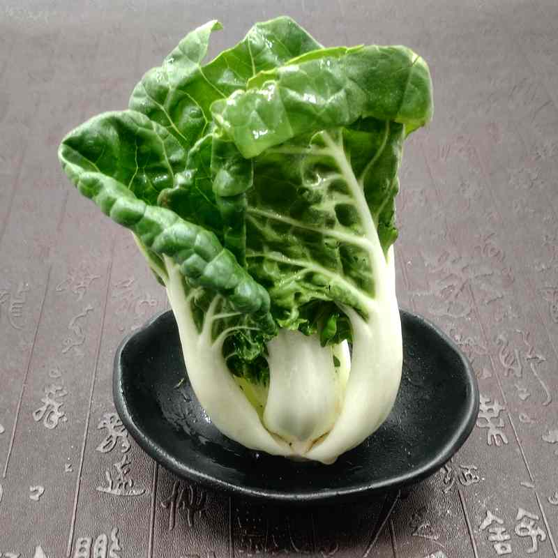 奶油白菜 500g 奶白菜小白菜 新鲜蔬菜 日天 生鲜