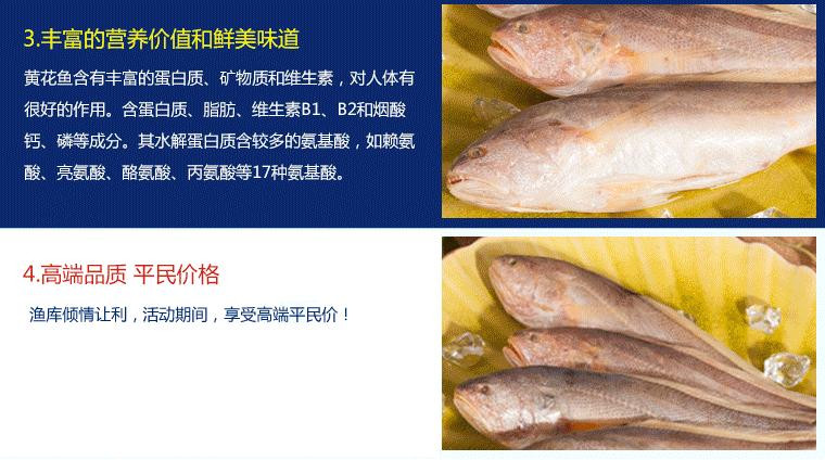 coo】渔库 黄花鱼 600g黄花鱼 缅甸黄鱼 三去黄