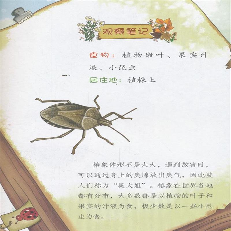 正版书籍 我爱昆虫记 我的求偶记/爱知科学馆 我爱昆虫记4