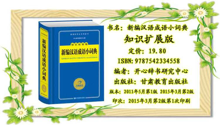 《正版必备工具书小学新编汉语成语小词典大全
