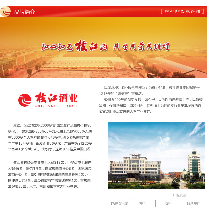 枝江酒52度特酿白酒4瓶装480ml浓香型纯粮食