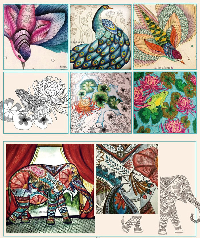 米莉·马洛塔的动物王国:探索自然之美的手绘涂色书