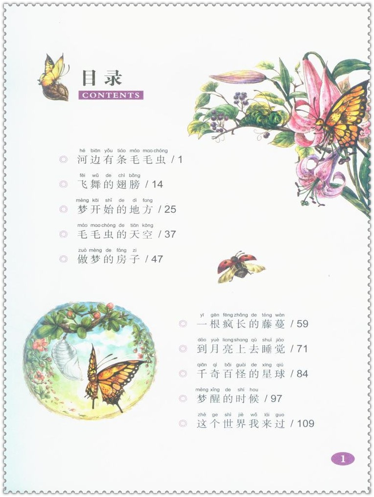 杨红樱童话注音本系列毛毛虫的天空 美绘版拼音插图 小学生5-6-7-8-9