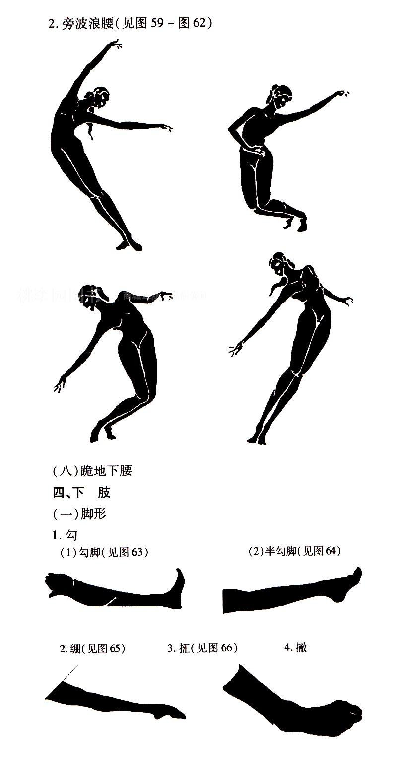 【桃李园图书】中国古典舞基本功训练教程(舞