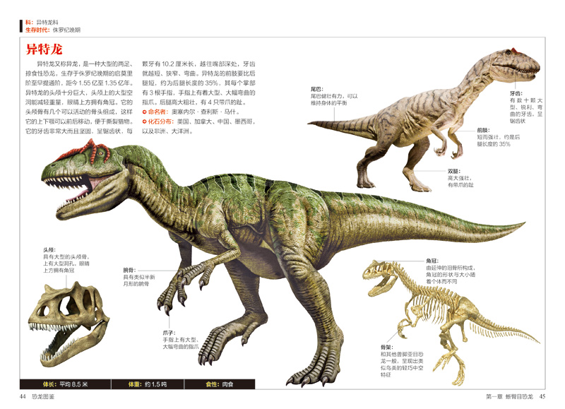 恐龙图鉴:154种恐龙的特征与习性 恐龙大百科书探秘揭秘史前恐龙世界