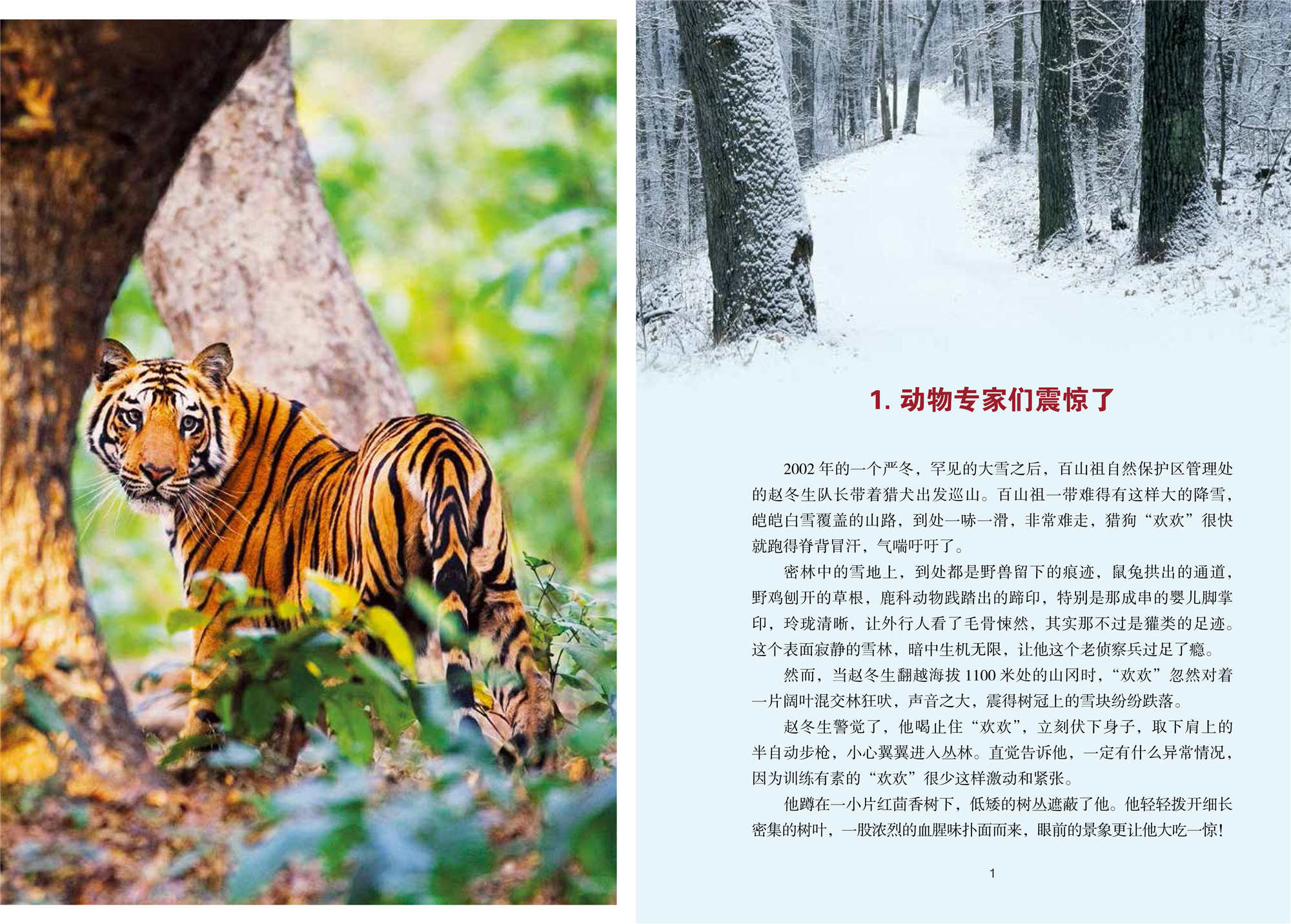 浙江摄影出版社中国儿童文学