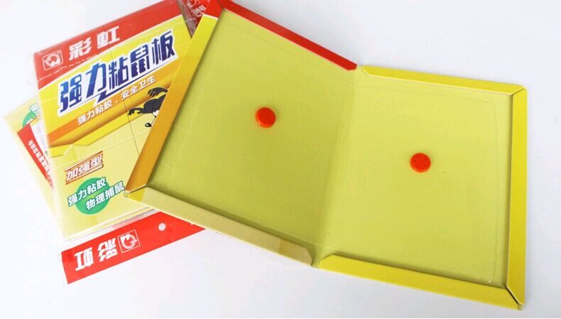 【驱蚊驱虫 】彩虹强力粘鼠板加强型6802