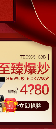 帅康(sacon)全不锈钢大吸力油烟机单品 CXW-200-TE6709