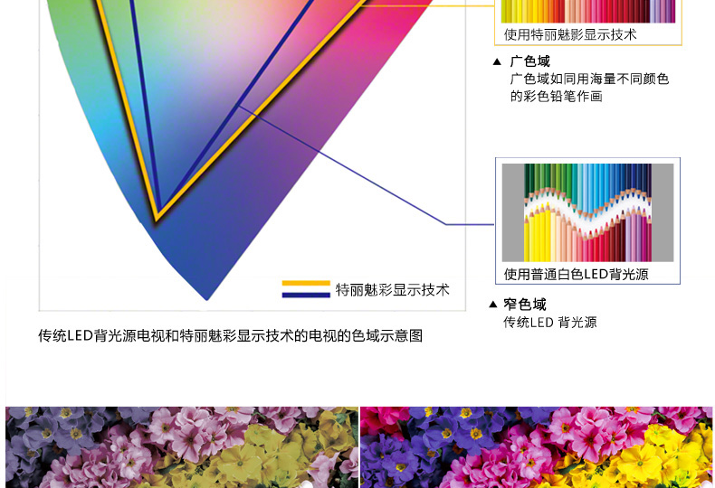 【索尼(SONY)平板电视 KD-55X9000C】索尼