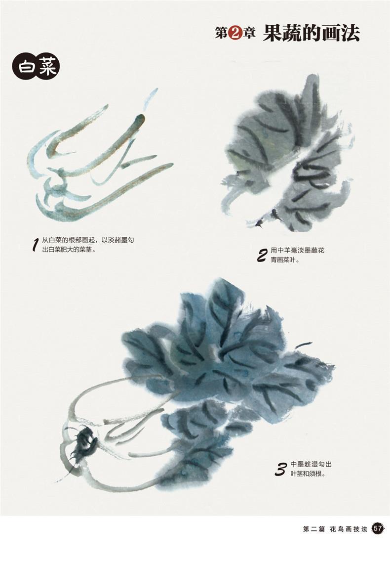 123 中国花鸟画基础教程