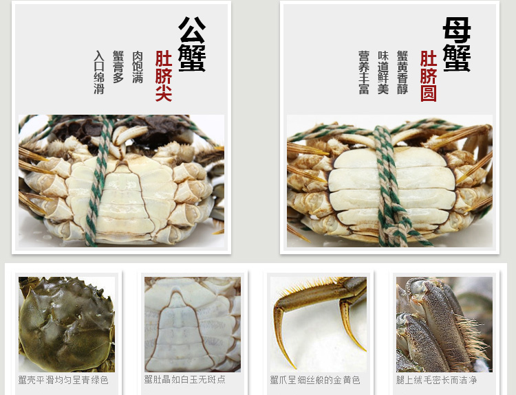 现货蟹灵阁阳澄湖大闸蟹全公螃蟹蟹2.9-2.5两 10只装 蟹灵阁海鲜水产【价格 图片 品牌 报价】-苏宁易购蟹灵阁蟹谢您食品专营店