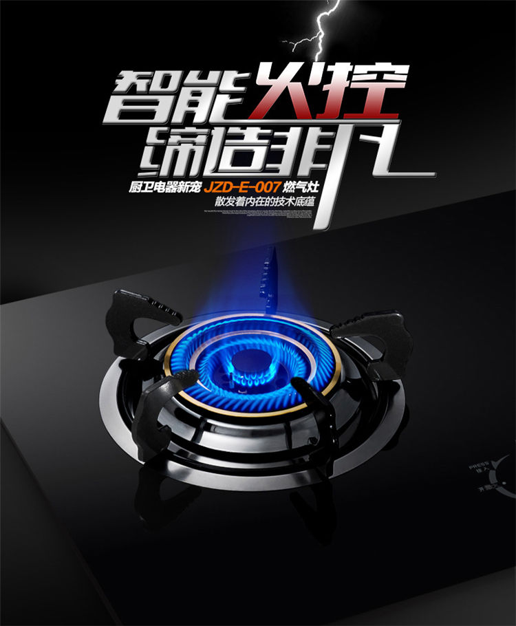辉洋欧派 燃气灶天然气 液化气 人工煤气 双眼灶