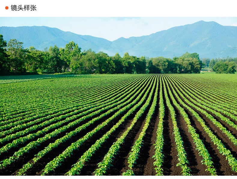 Sony\/索尼 ILCE-6000L(16-50\/50F18) A6000微