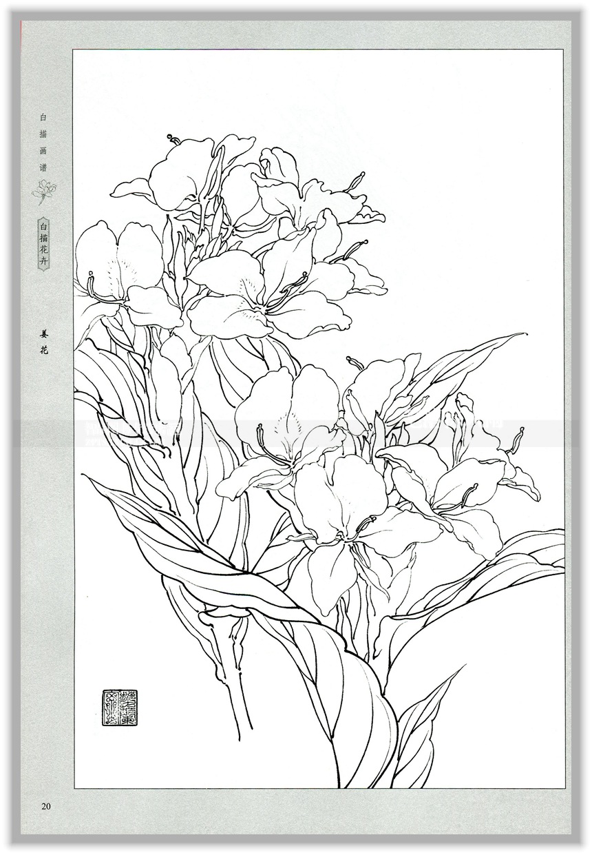 正版 智品 墨点美术白描画谱白描花卉工笔画教程书籍白描底稿花卉画册