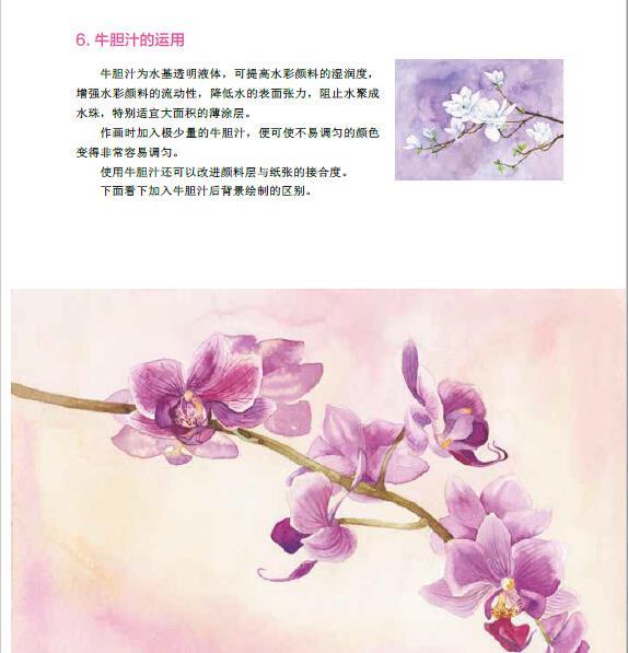 正版书籍 二十四番花信风 水彩花卉绘画技法(全彩) 9787121291418