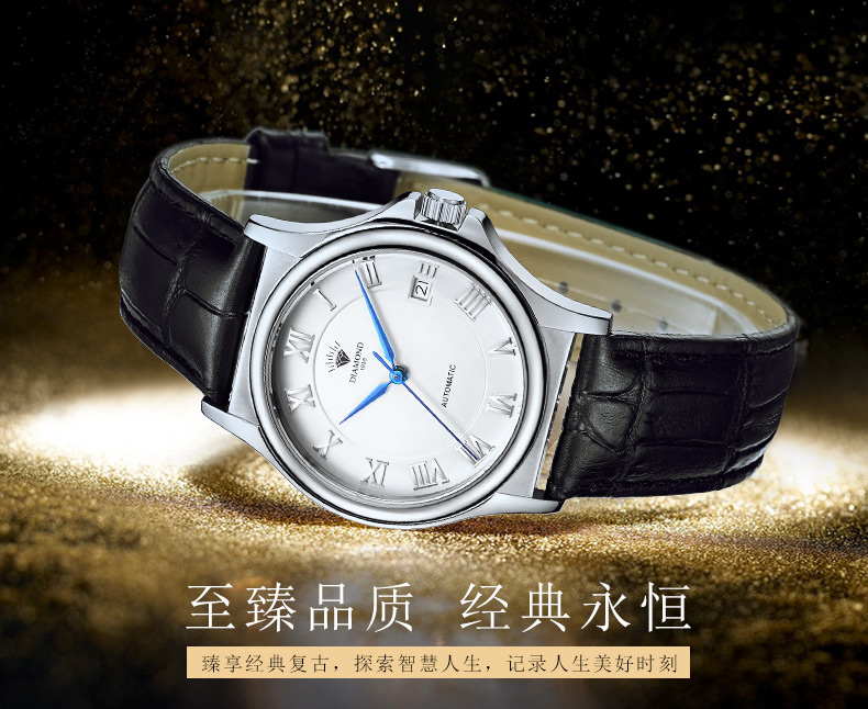 上海钻石牌（DIAMOND）手表男士全自动机械表休闲皮带男机械表男表T50 白面蓝针黑皮 白面蓝针黑皮