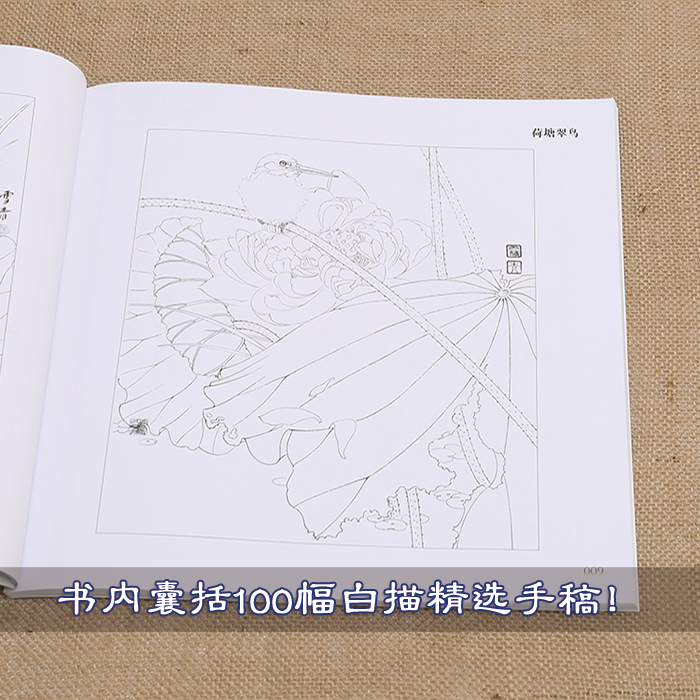 10年·龚雪青白描精选手稿100幅