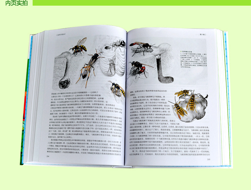 货 彩图精装包邮 法布尔昆虫记少儿科普读物书