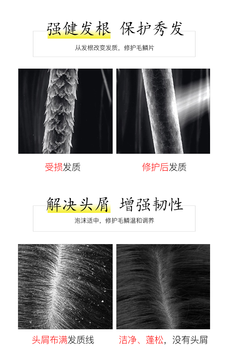 博莱蔻生姜防脱护发固发杀菌抑菌抚平毛躁修护干枯修复受损生姜护发素