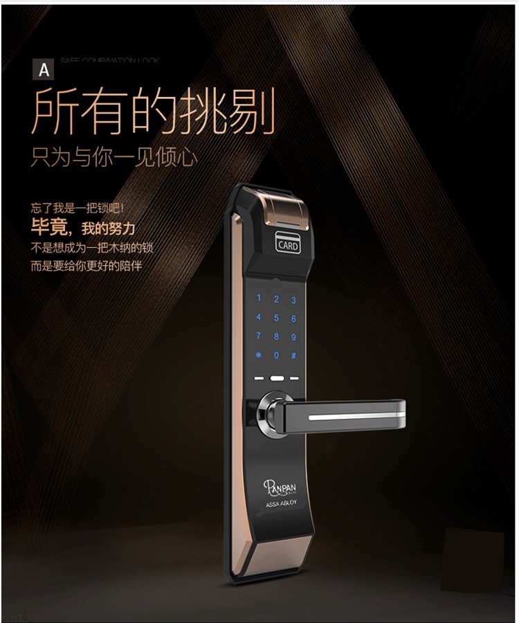 盼盼(pan pan)盼盼工厂直营s20指纹锁密码锁家用大门防盗门智能锁卧室