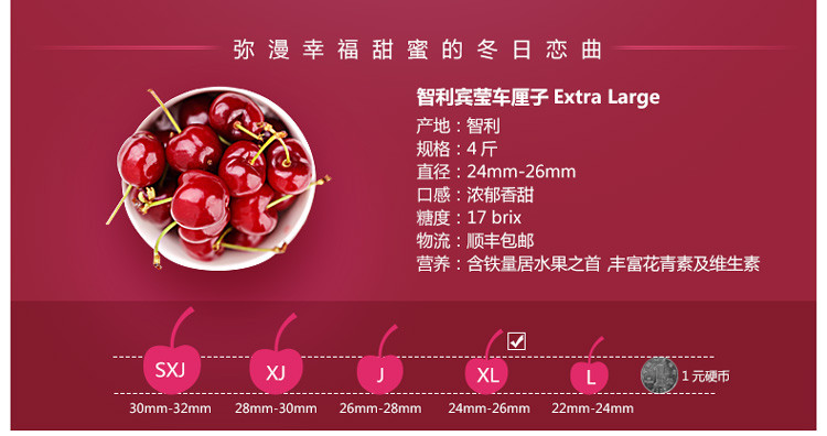 【花果山】智利进口车厘子4斤装 xl级