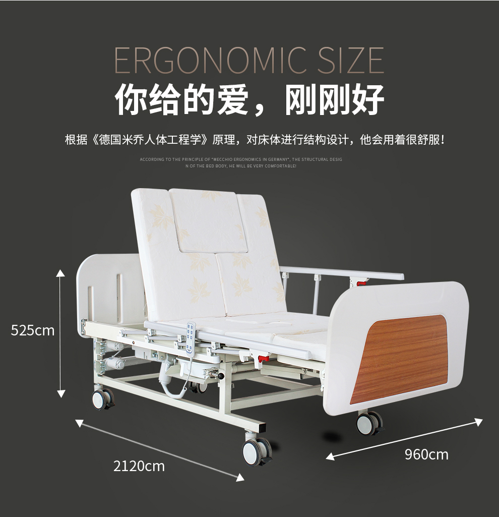 护理床电动轮椅床 迈德斯特(maidesite)电动轮椅床 家用老人多功能