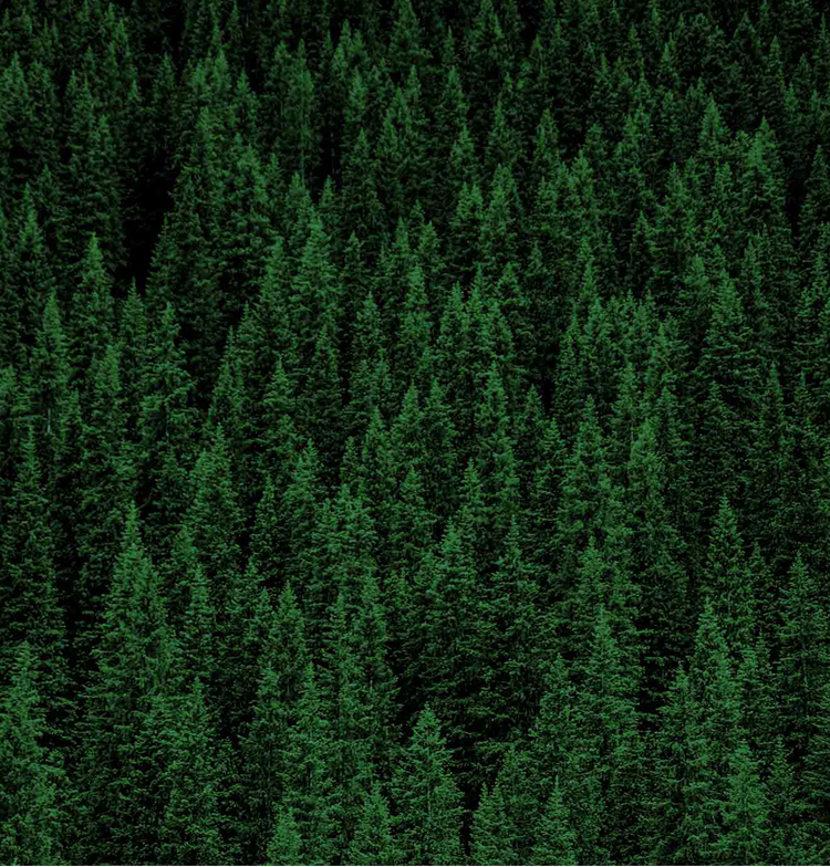 小米(MI)车载空气净化器智能米家空气净化器除