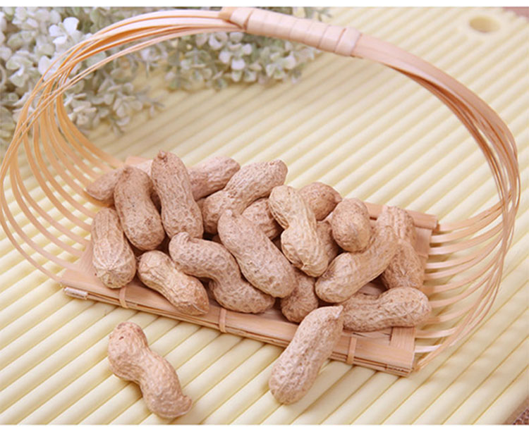 【中华特色馆】兰考馆奶香味萧美人花生350g