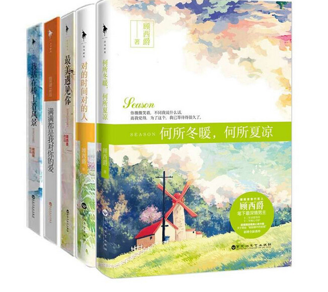《顾西爵小说共5册 包含 我站在桥上看风景+满
