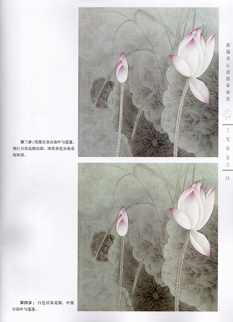 新编养心斋描摹画谱工笔荷花2姜冬莲江苏凤凰美术出版社工笔花鸟画