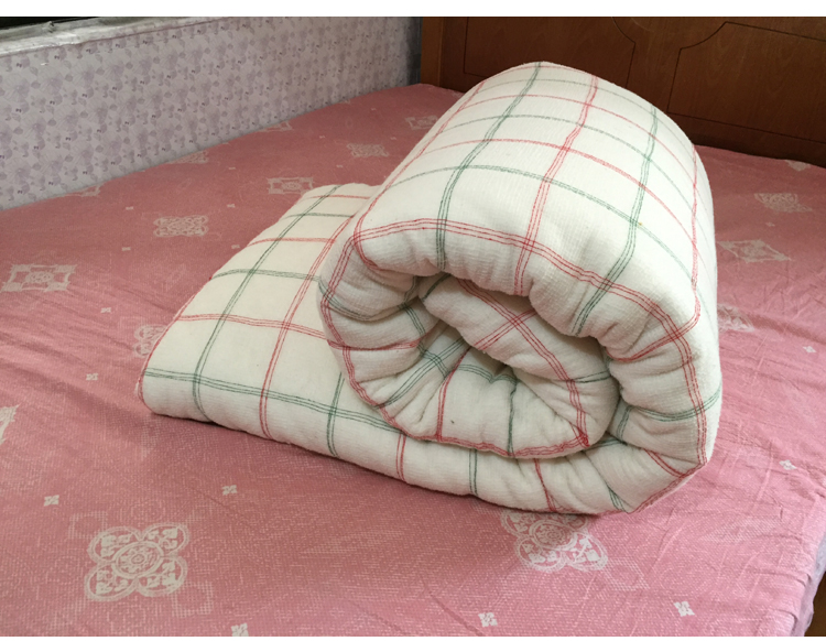 纯棉花被子全棉被芯冬被10斤8双人1.5加厚保暖200x230cm1.8米床垫