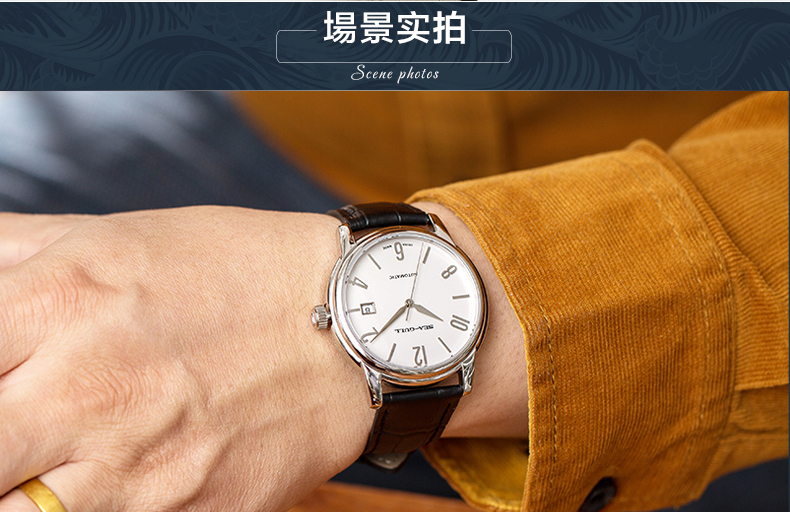 儿童表 石英表 电子表 光能表 核心参数品牌:海鸥表(seagull 产地