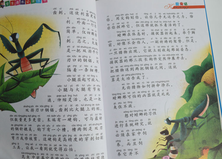 《小脚鸭 小学生课外必读 昆虫记 世界名著 儿童