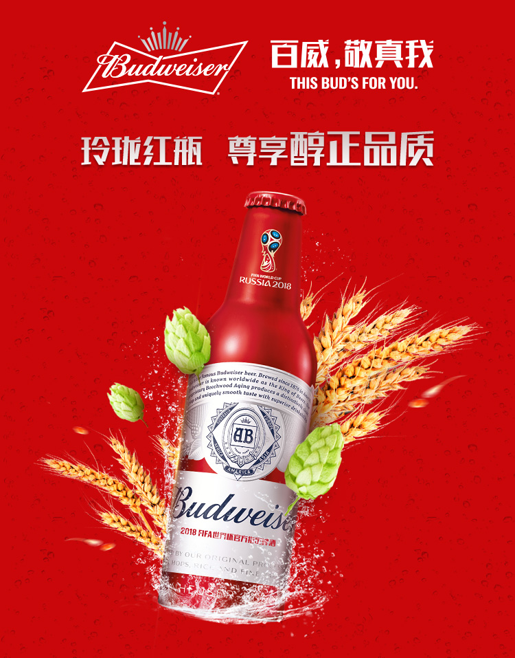 budweiser 百威铝罐355ml*24瓶