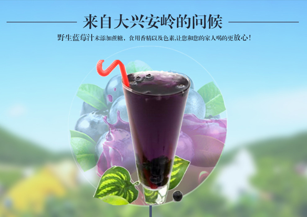 【蓝立方果汁\/果蔬汁 】东北野生蓝莓原浆大兴