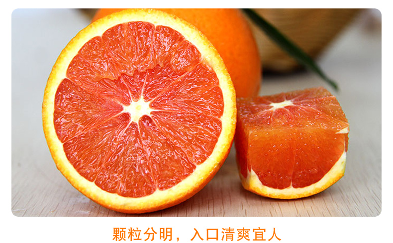 新鲜橙子 秭归橙子 湖北橙子 血橙 甜橘子 5斤装