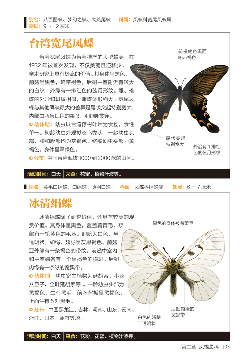 蝴蝶图鉴:158种蝴蝶与60种蛾类的特征与识别
