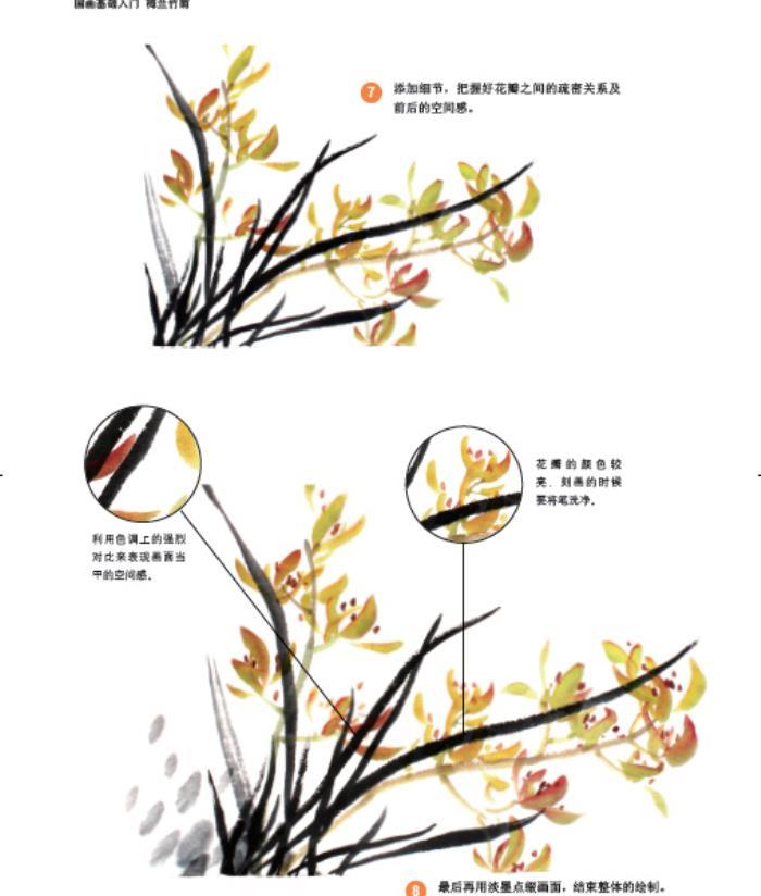 正版书籍 国画基础入门 梅兰竹菊(全彩) 9787121296628 电子工业出版