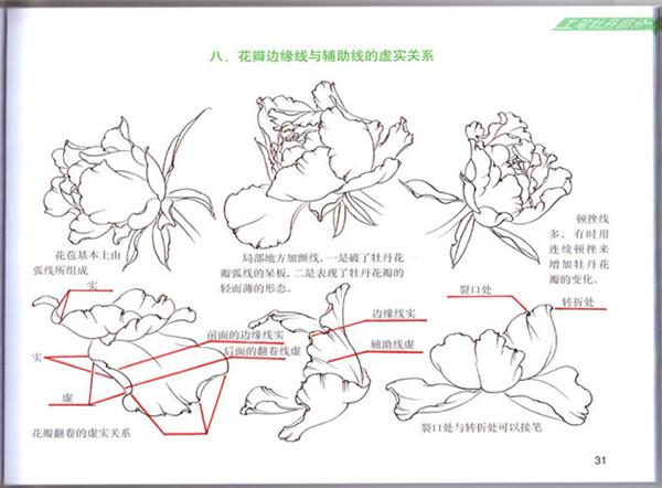 学国画(6)牡丹花表现技法