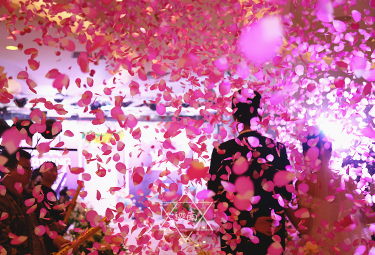 2018新款花瓣雨花瓣礼炮礼花筒开业庆典婚庆舞台礼炮婚庆道具