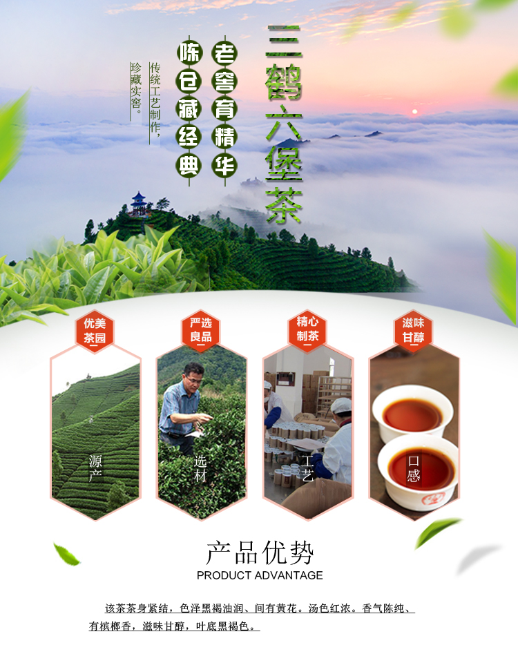 > 三鹤六堡茶0818 广西梧州茶厂