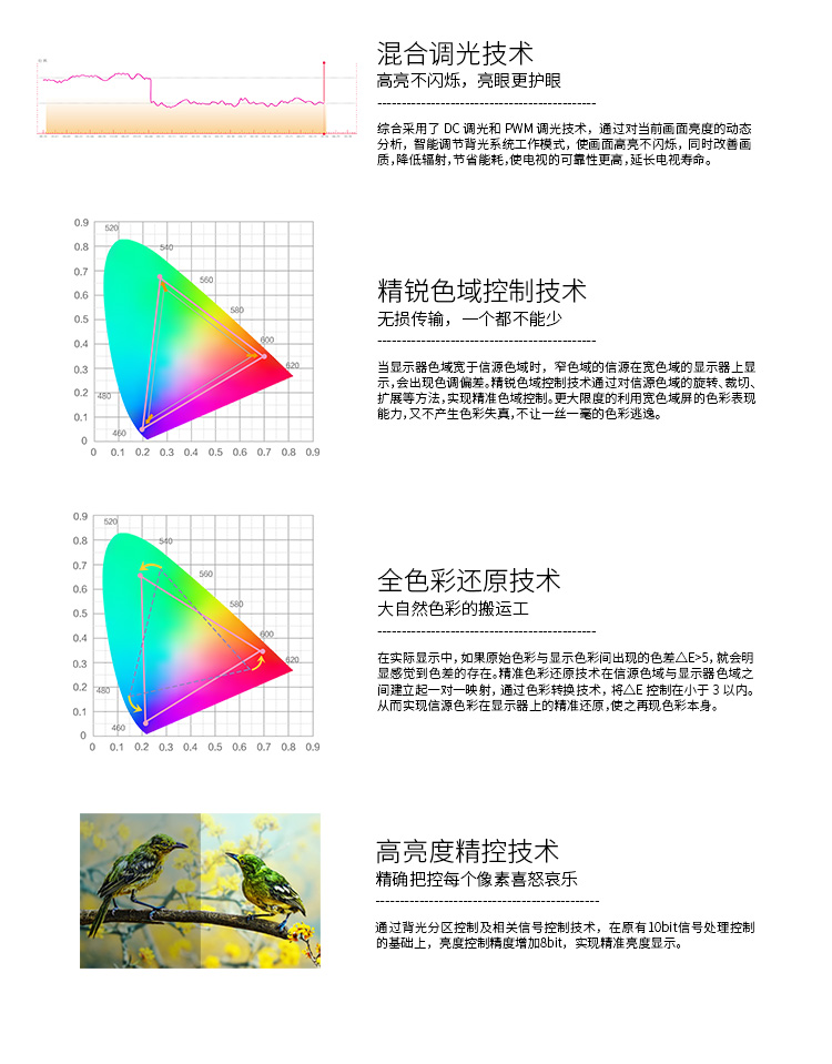 【苏宁专供】TCL电视 55C2