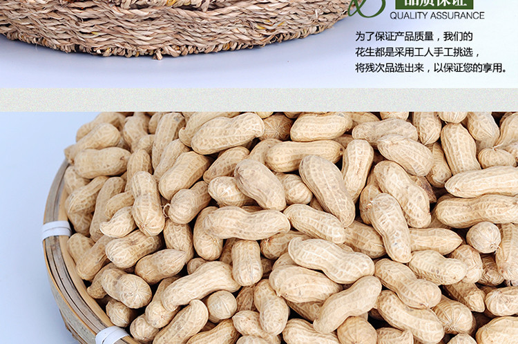 【中华特色】泗阳馆 苏花2021年新花生500g 原味生花生农家晒干新货带