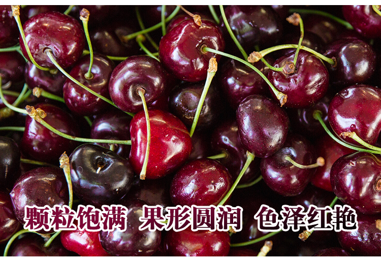 智利进口车厘子jj级2500g新鲜精选车厘子大果