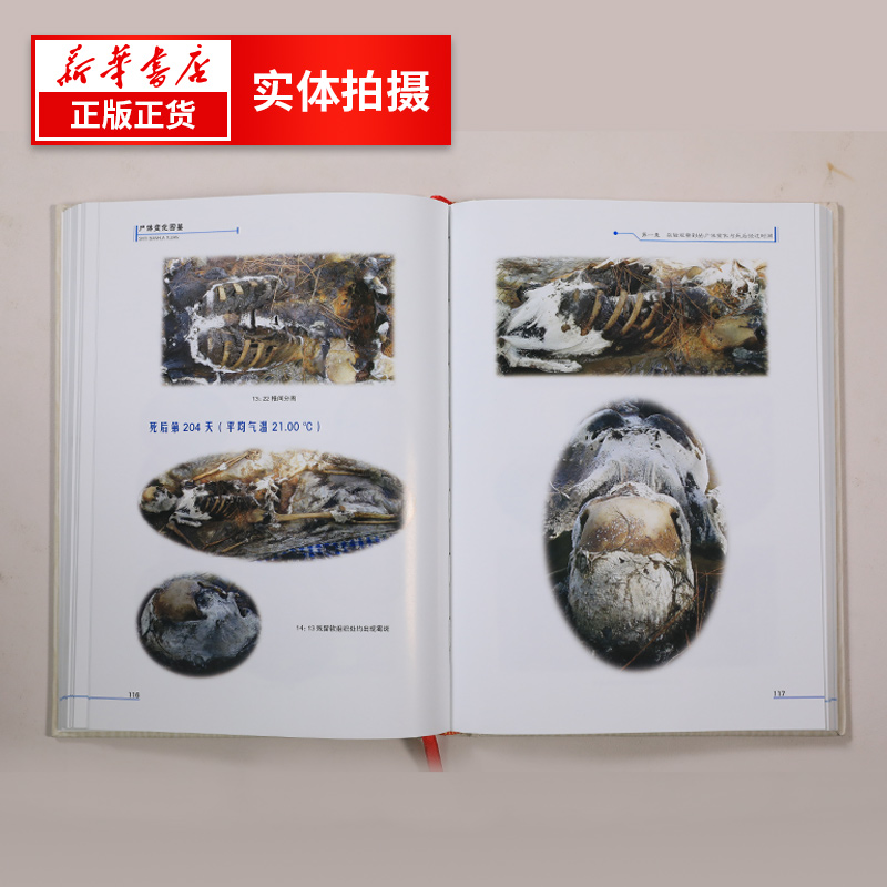 超级新品 sq【正版】尸体变化图鉴 完全人体解剖涂色书二套装 人体