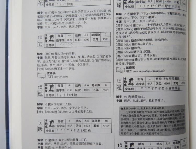 《新编汉语辞海 现代汉语辞海正版特价词海字
